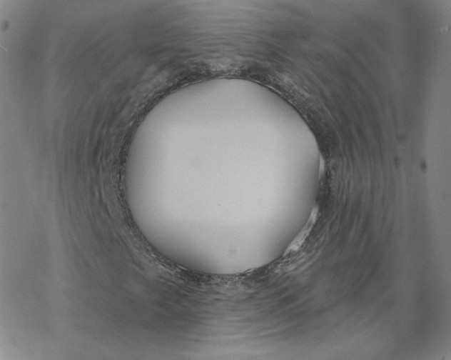 X0000069841249200606091502