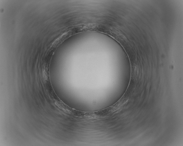 X0000069841250200606091502