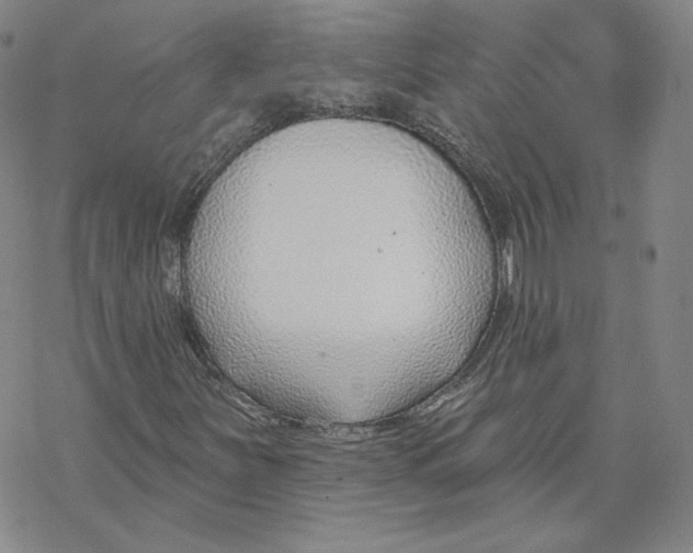 X0000069841251200606091502