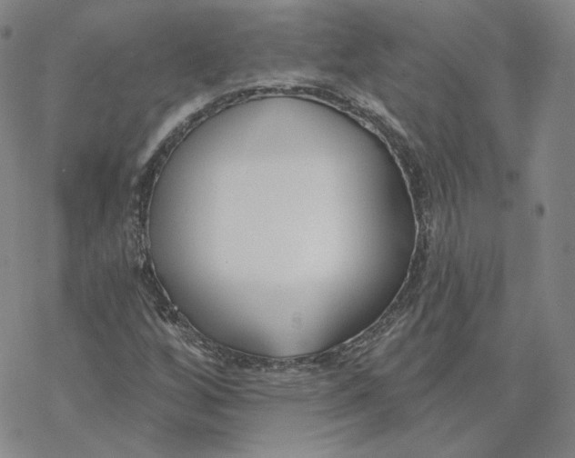 X0000069841256200606091502