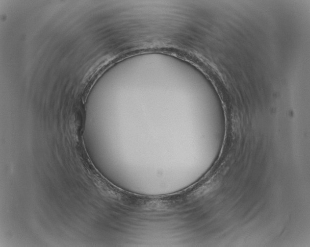 X0000069841265200606091502
