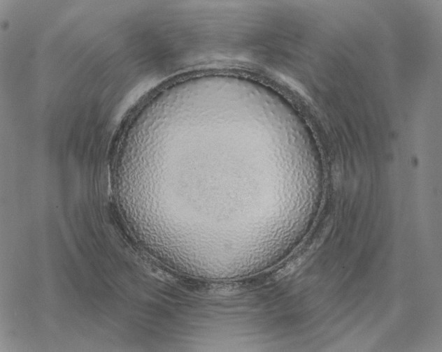 X0000069841267200606091502