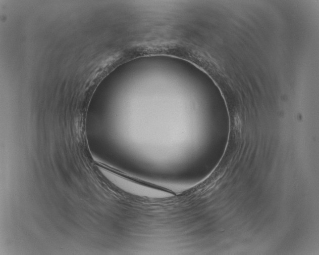 X0000069841300200606091500