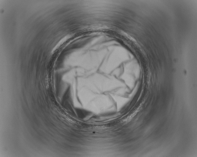 X0000069841306200606091501