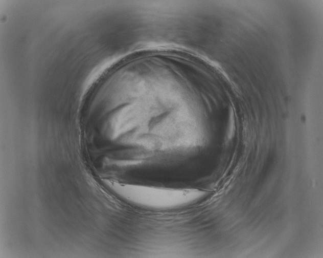 X0000069841319200606091501