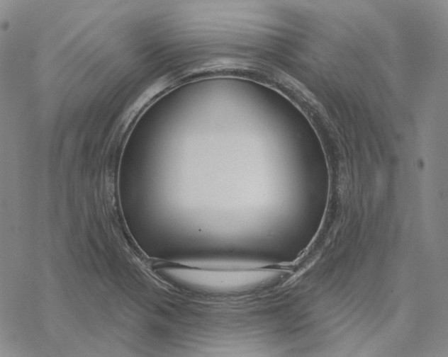 X0000069841321200606091501