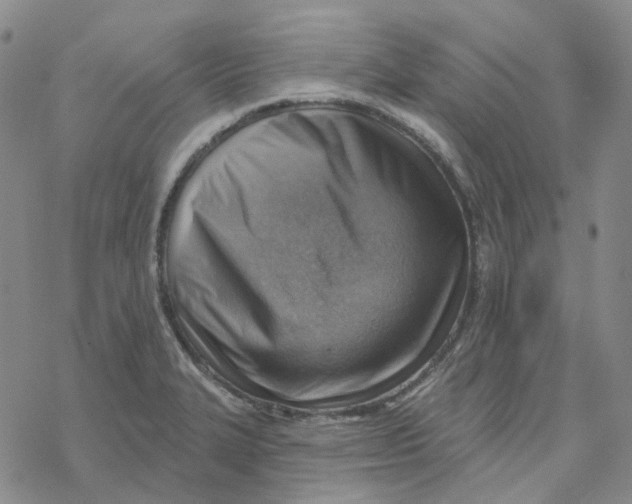 X0000069841327200606091501