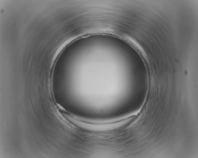 X0000069841340200606091501