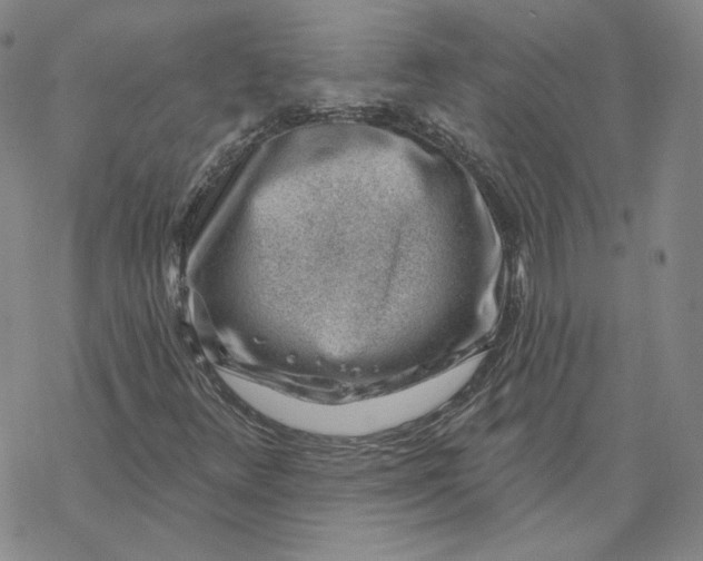 X0000069841348200606091500