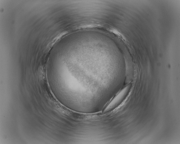 X0000069841353200606091500