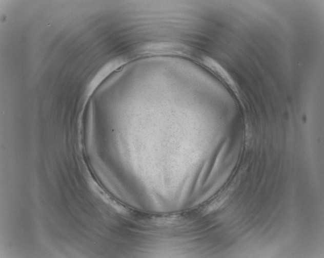 X0000069841386200606091500