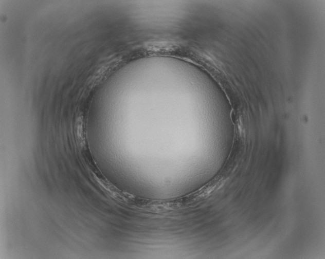 X0000069841396200606091459