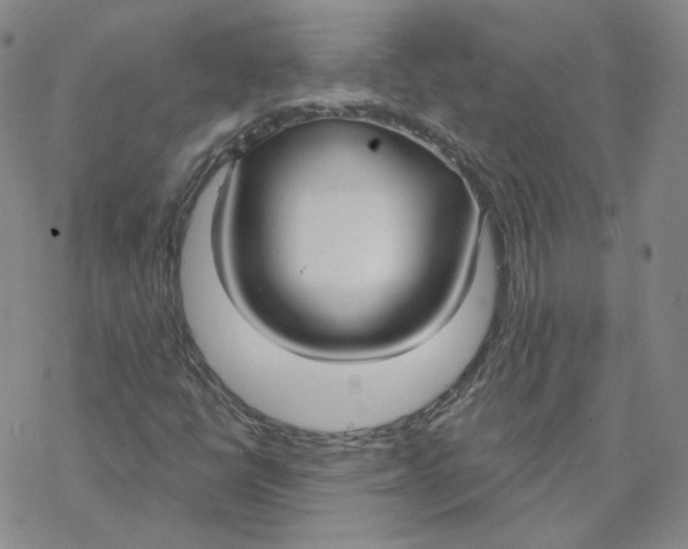 X0000069841398200606091459