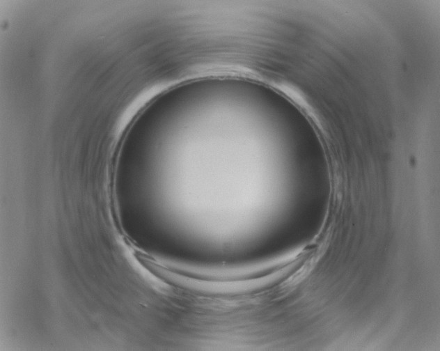 X0000069841438200606091500