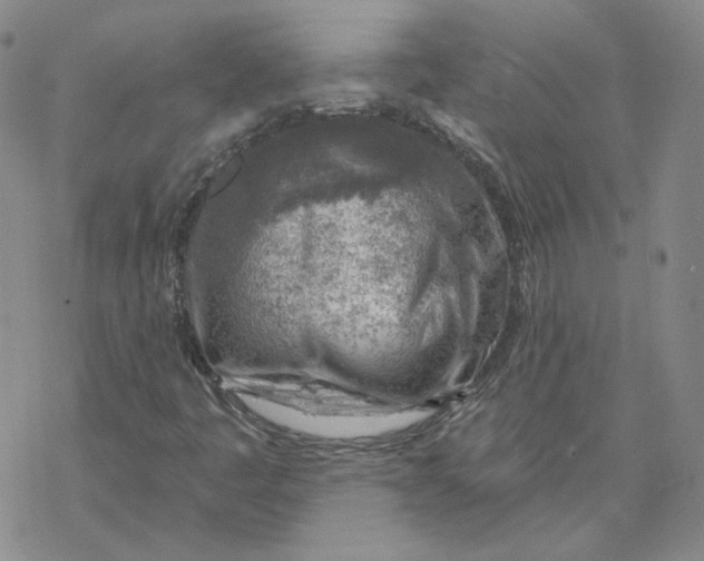 X0000069841445200606091459