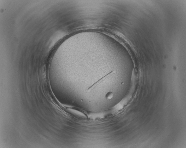 X0000069841450200606091459