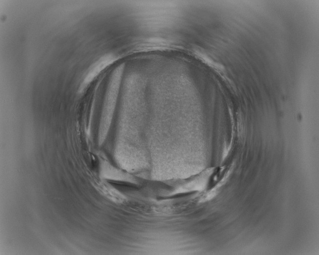X0000069841453200606091459