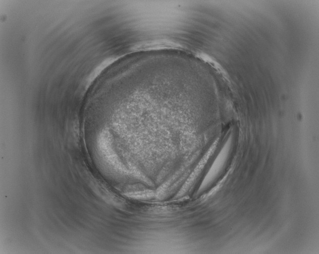 X0000069841457200606091459