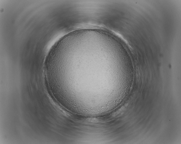 X0000069841463200606091459