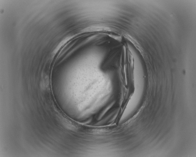 X0000069841465200606091459