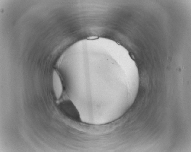 X0000069840027200606162017