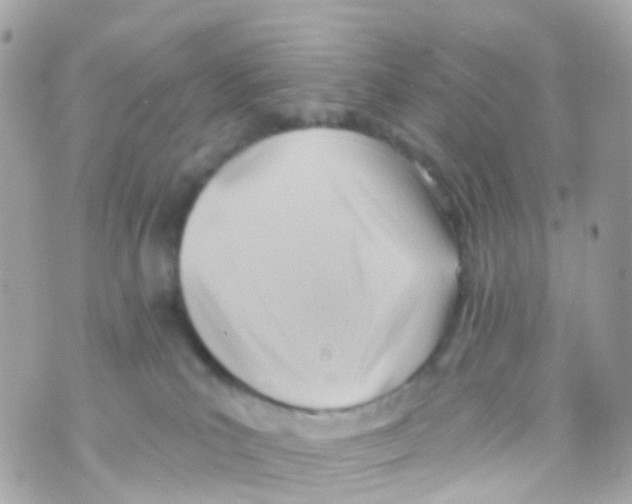 X0000069840039200606162017