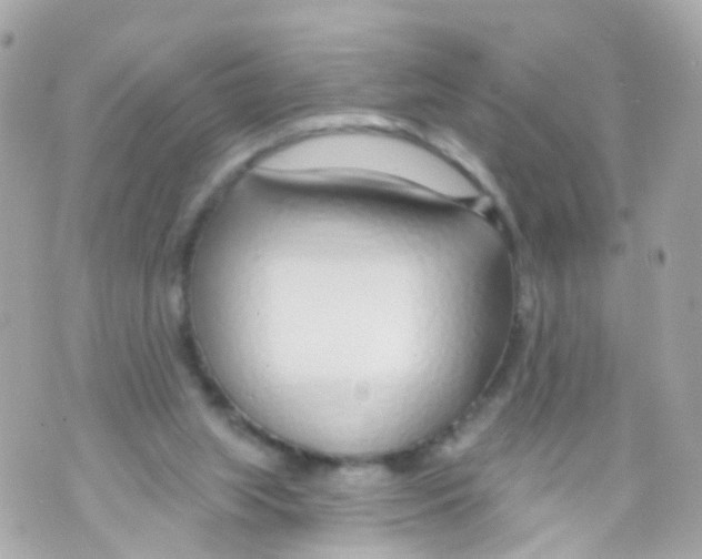 X0000069840063200606162016