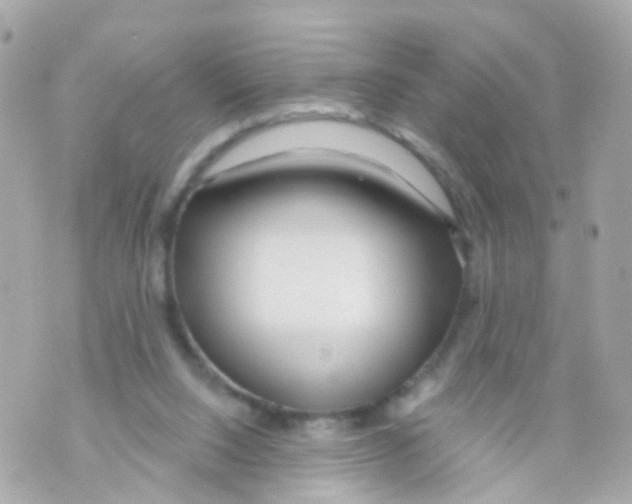 X0000069840064200606162016