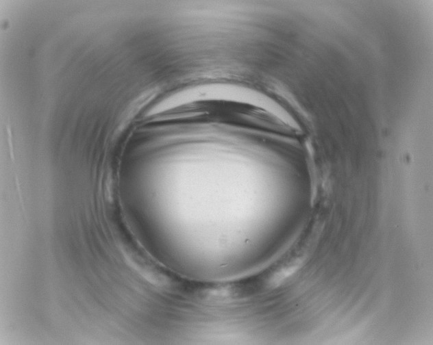 X0000069840068200606162016