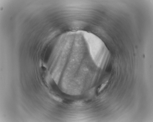 X0000069840076200606162016
