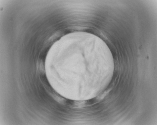 X0000069840143200606162015