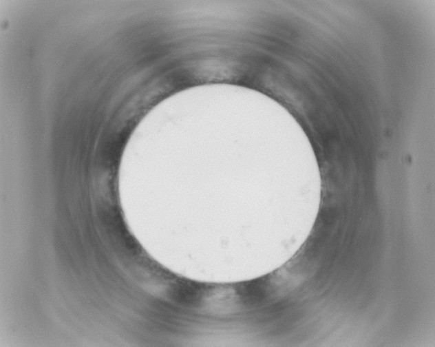 X0000069840162200606162014