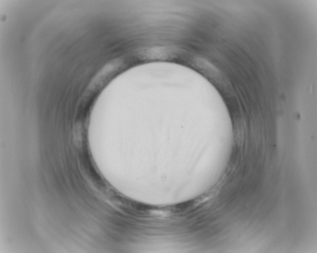 X0000069840167200606162014