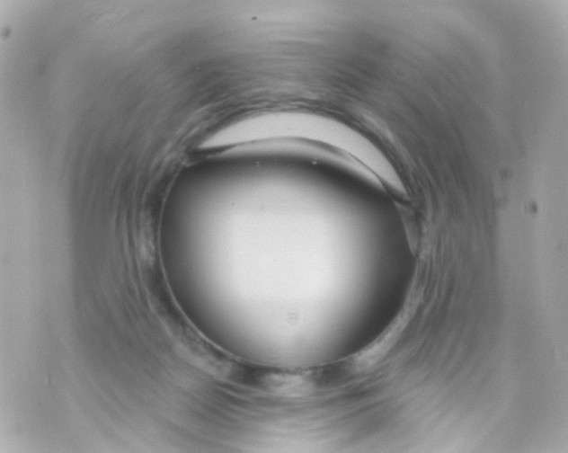 X0000069840170200606162014