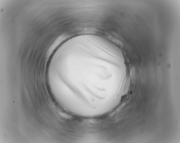 X0000069840195200606162014