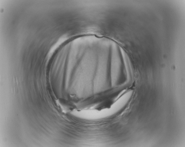 X0000069840200200606162014