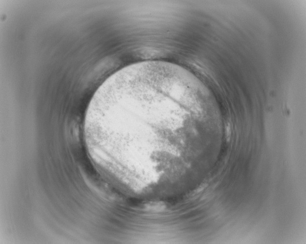 X0000069840214200606162014
