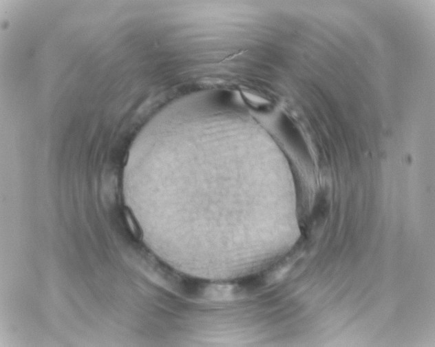 X0000069840227200606162013