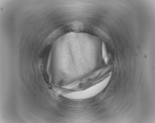 X0000069840233200606162013