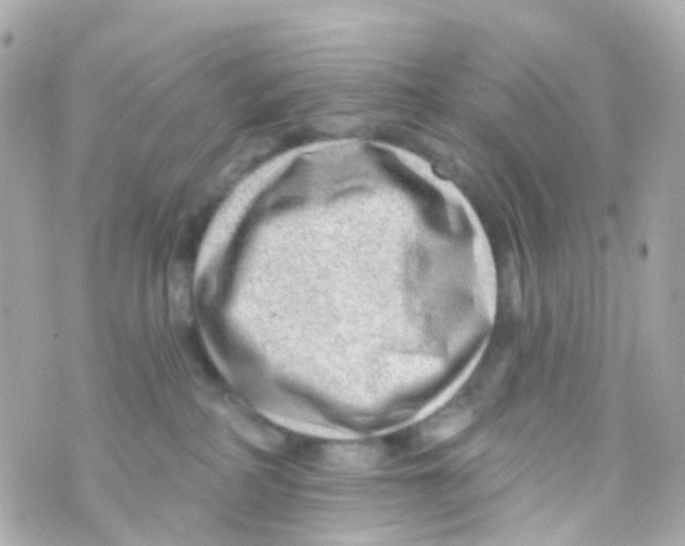 X0000069840234200606162013