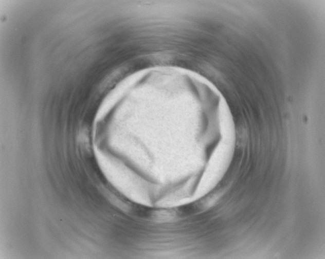 X0000069840238200606162013