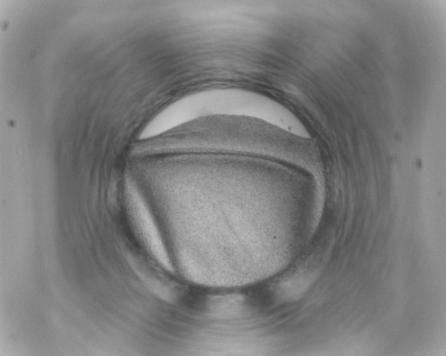 X0000069840266200606162013