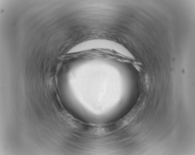 X0000069840276200606162013