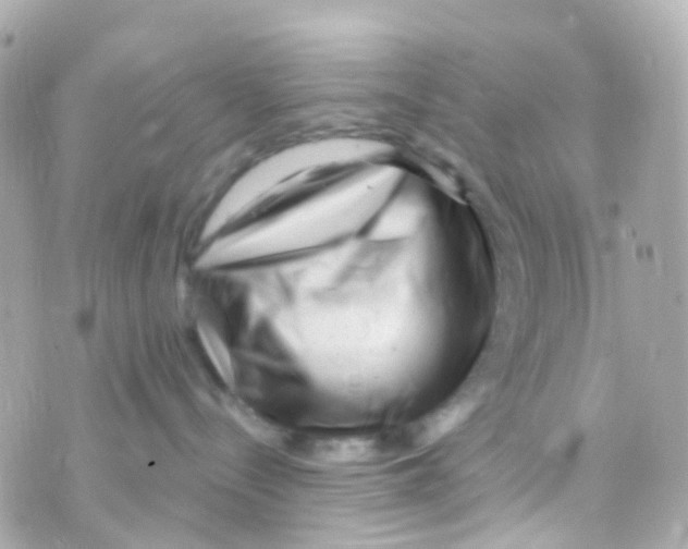 X0000069840288200606162013