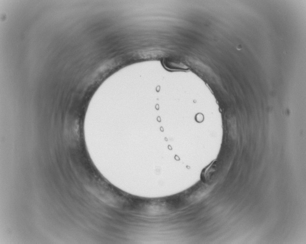 X0000069840308200606162012