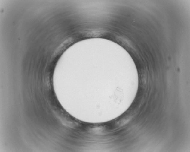 X0000069840312200606162012
