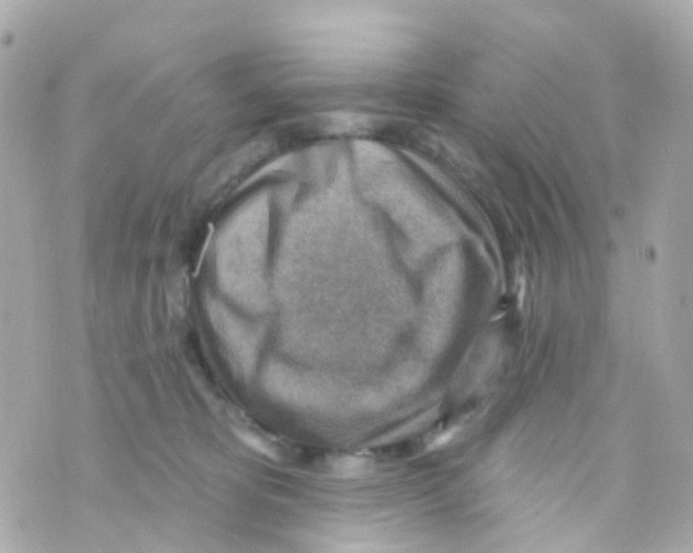 X0000069840325200606162012