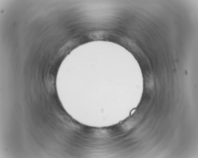X0000069840332200606162012
