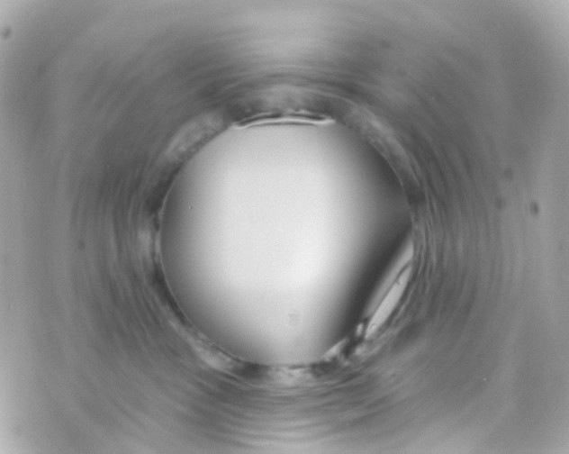 X0000069840333200606162012