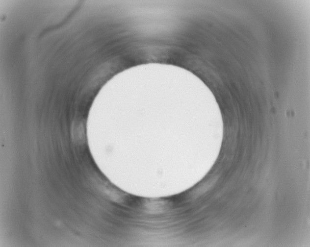 X0000069840336200606162012